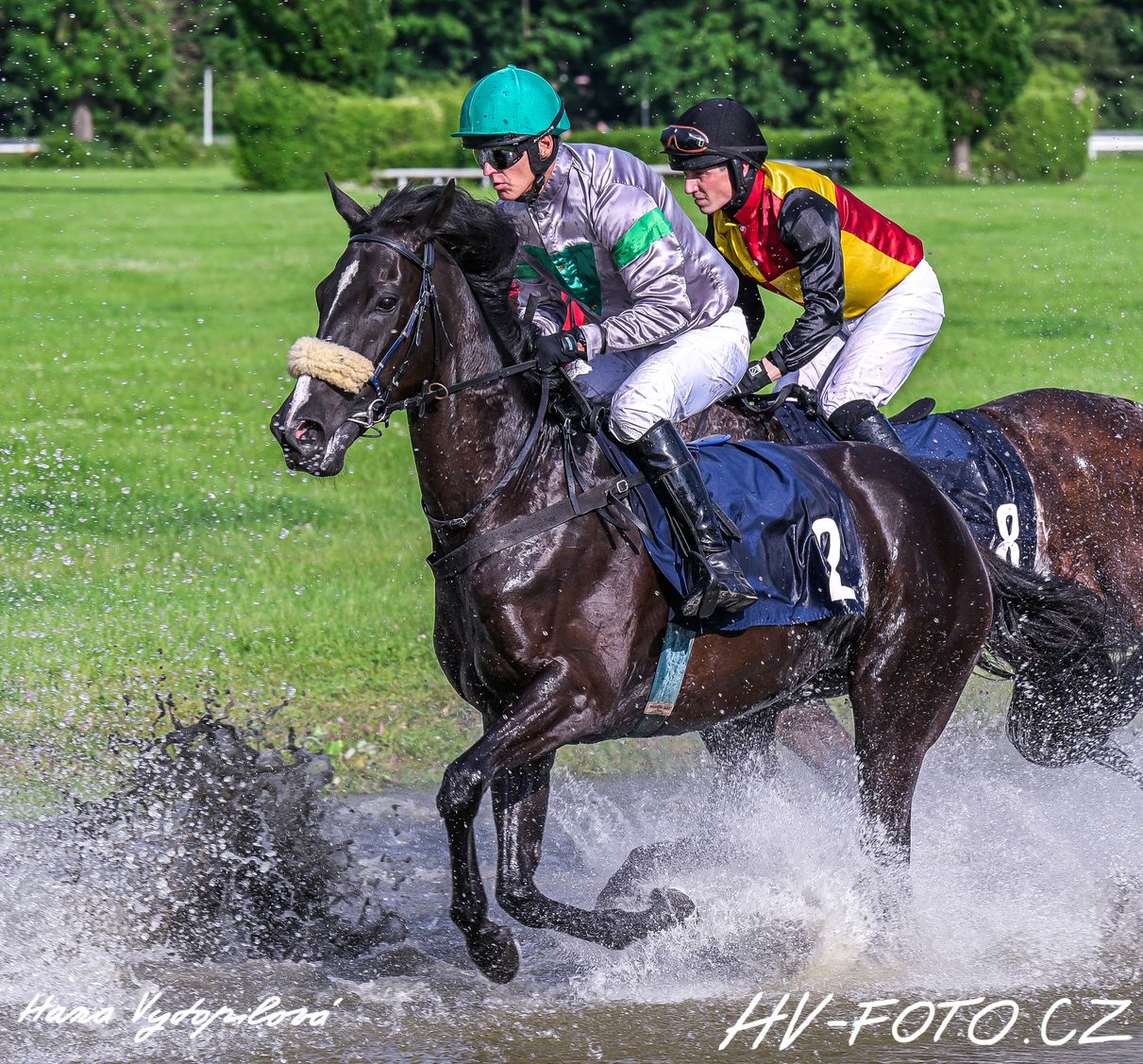 DSC_2059 kopie.jpg